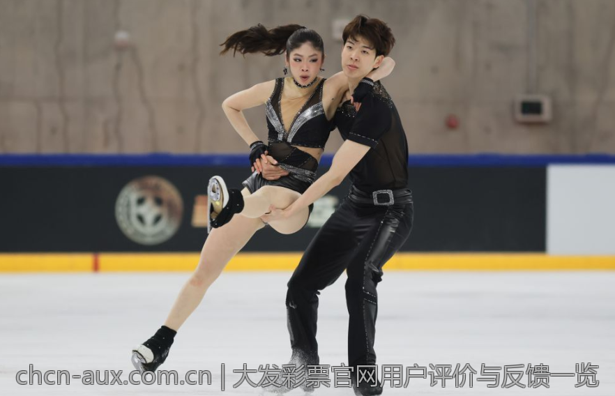 大发彩票官网用户评价与反馈一览
