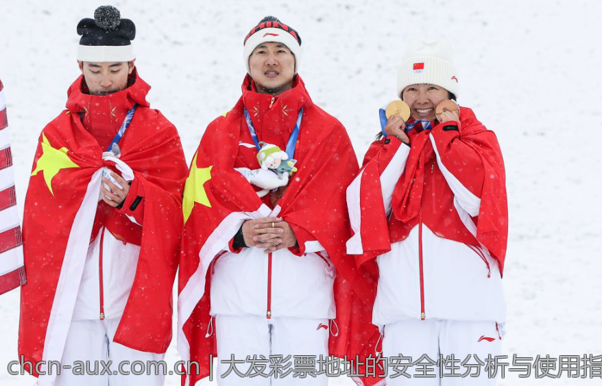 大发彩票地址的安全性分析与使用指南
