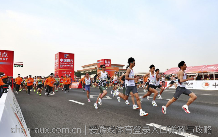 爱游戏体育登录入口详解与攻略